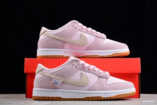 Teddy Low Dunk Bear Nike DZ5318-640 1014